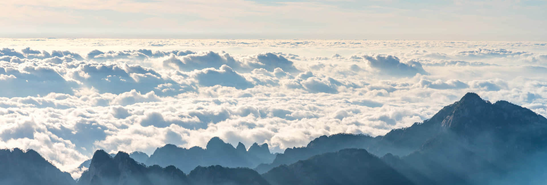 完美网(中国)简介